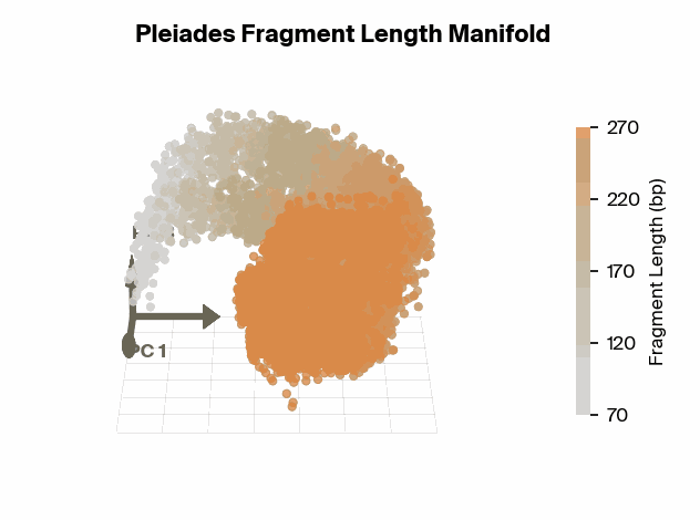 Fragment length manifold in Pleiades embeddings