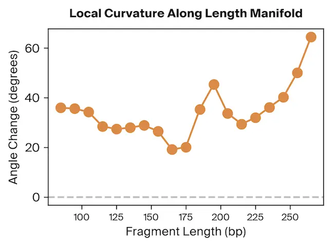 Manifold curvature analysis showing privileged fragment lengths
