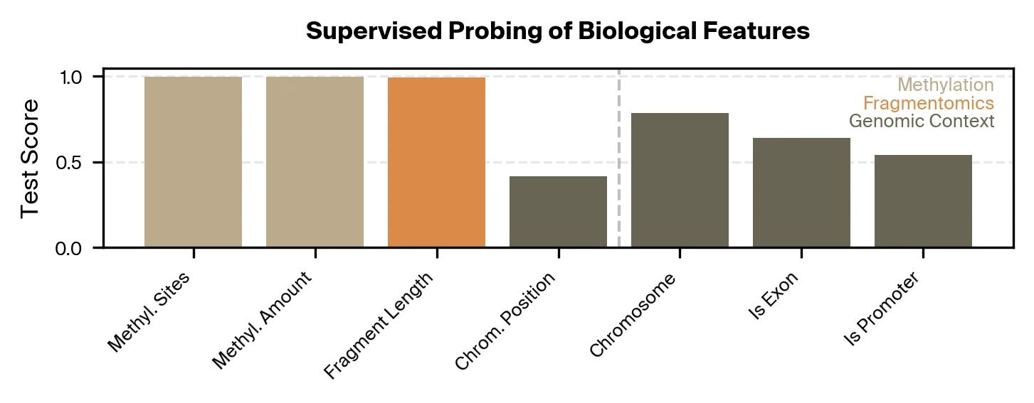 Supervised probing results showing biological signals in Pleiades representations