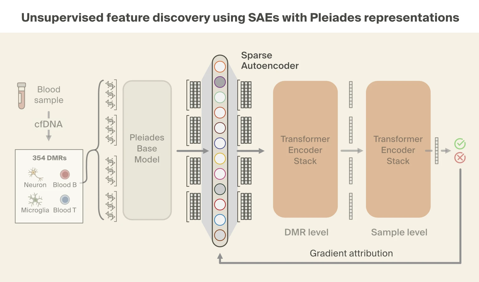 Unsupervised discovery of features in Pleiades