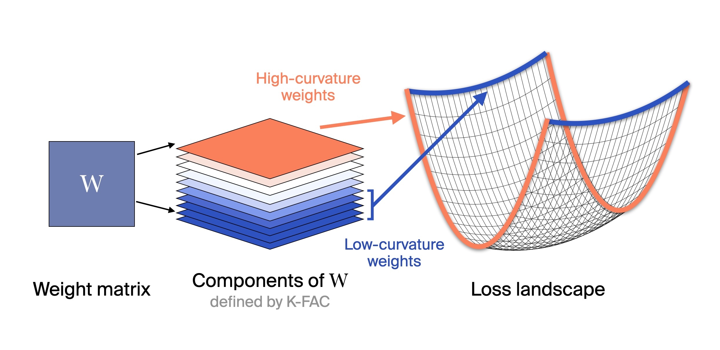 Diagram showing curvature along different axes